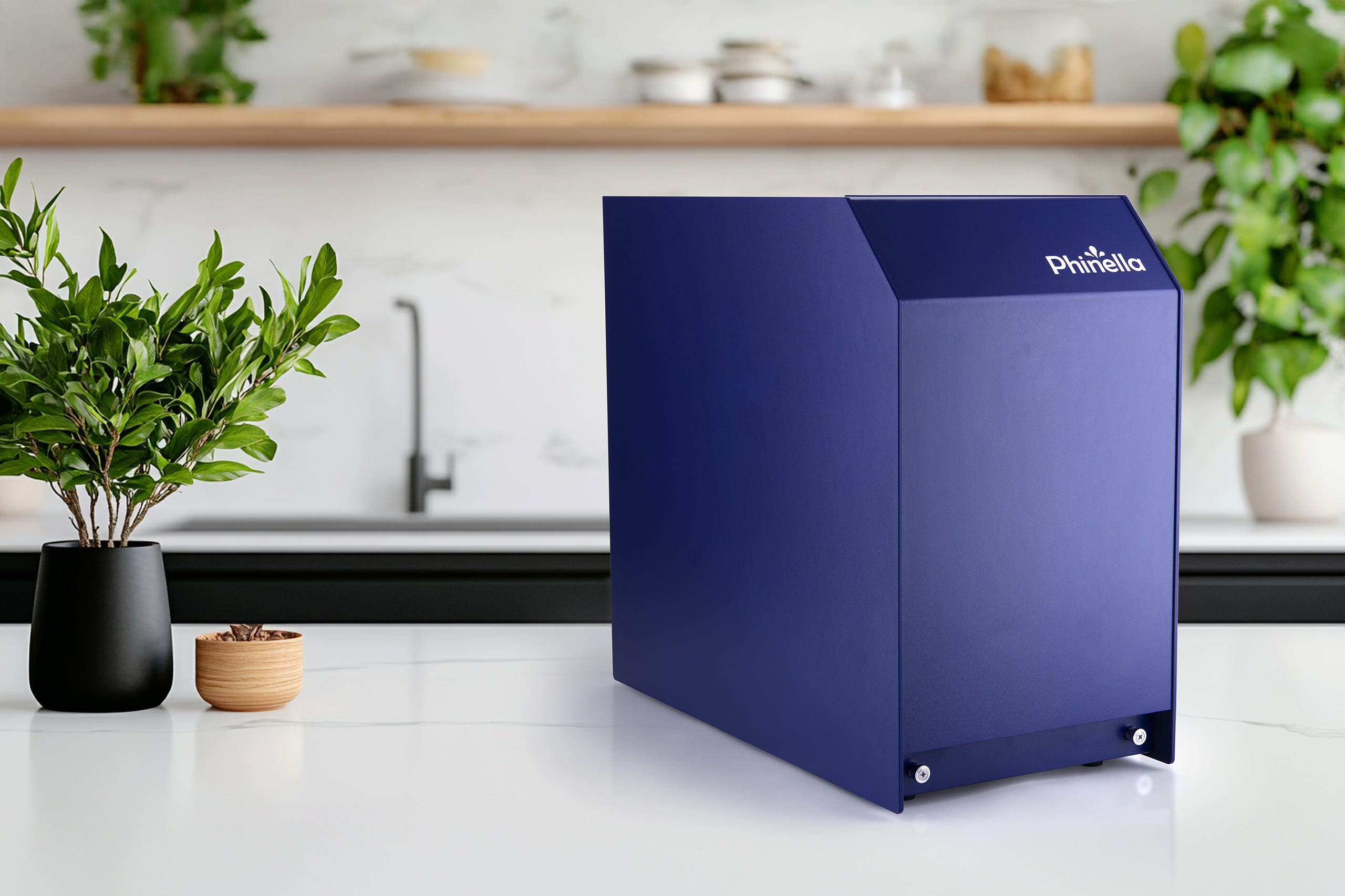 Phinella Primus auf Küchenarbeitsplatte